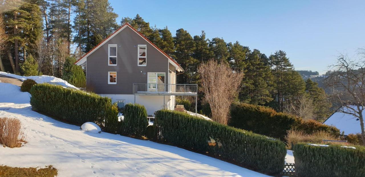 Apartmán Sonneck Schonach Schonach im Schwarzwald Exteriér fotografie