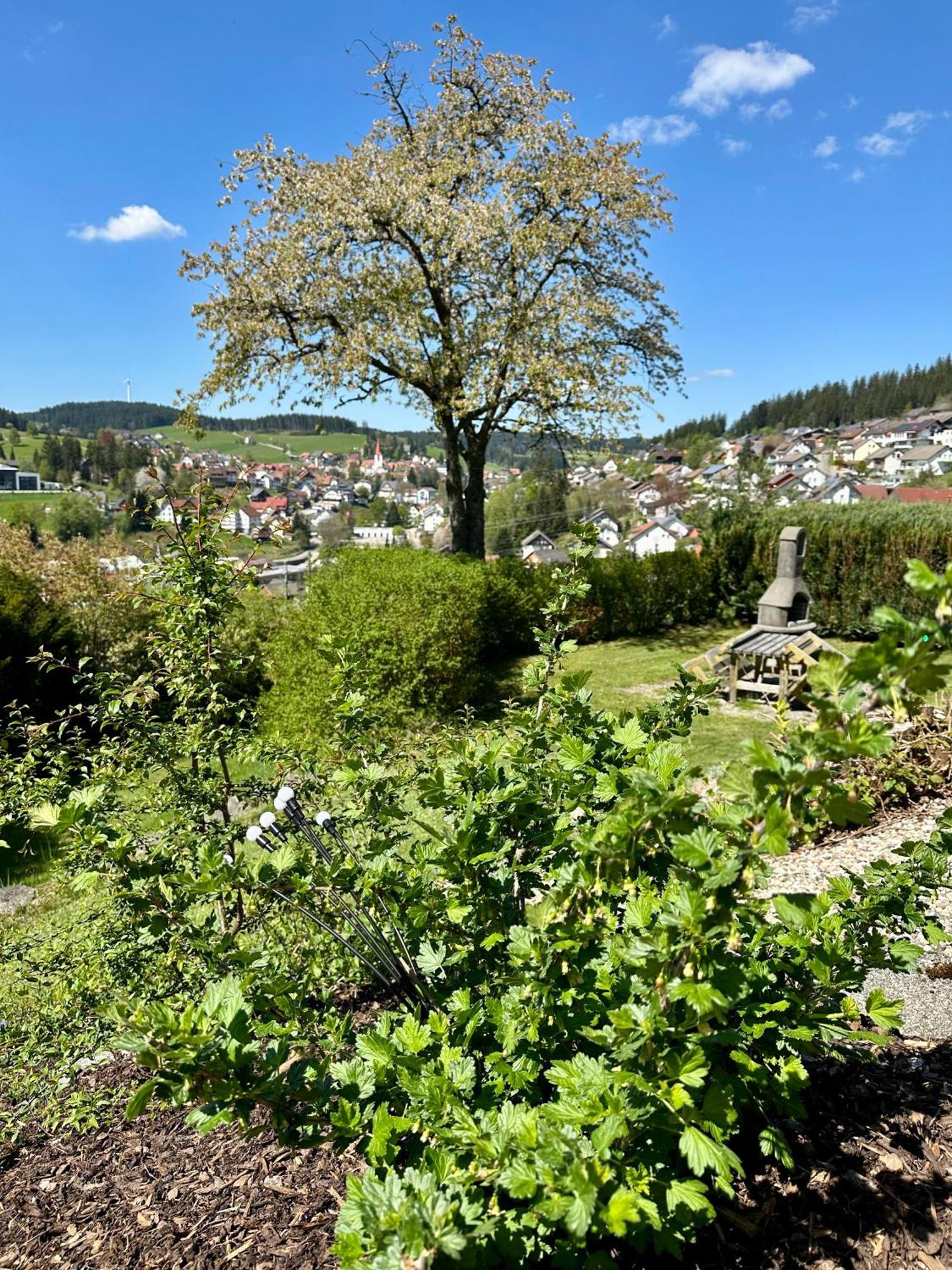 Apartmán Sonneck Schonach Schonach im Schwarzwald Exteriér fotografie
