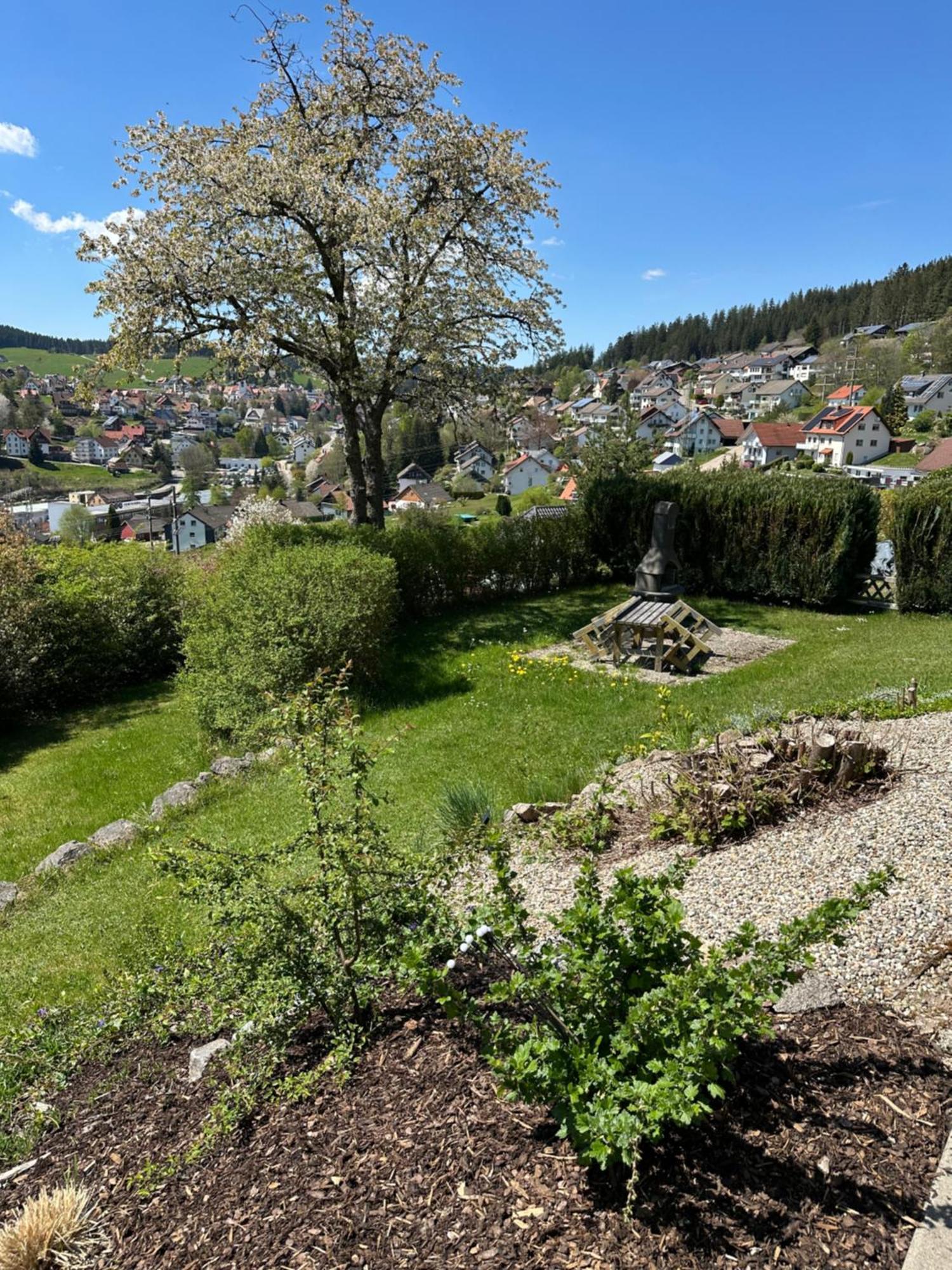 Apartmán Sonneck Schonach Schonach im Schwarzwald Exteriér fotografie